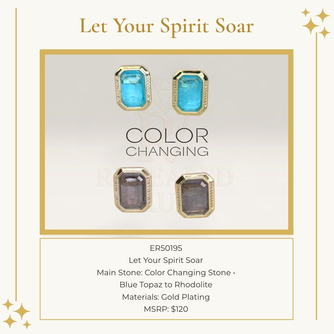 Let Your Spirit Soar - Mental Health 2025