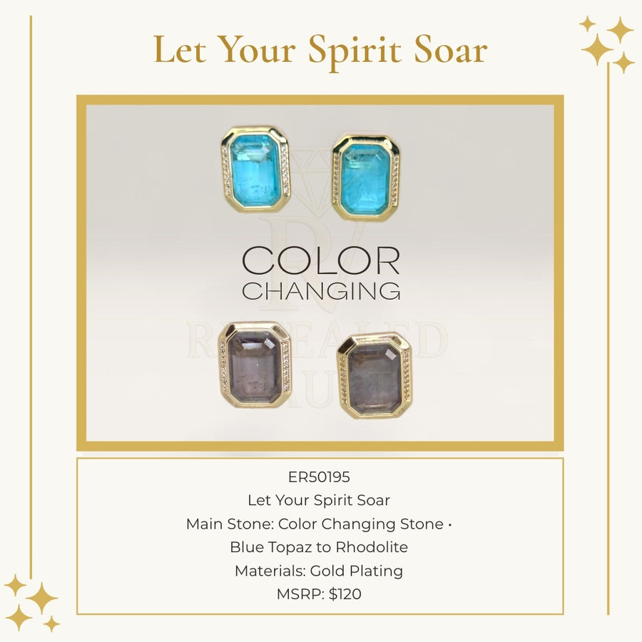 Let Your Spirit Soar - Mental Health 2025